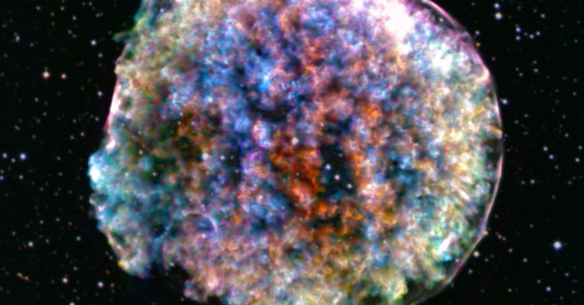 This fluffy ball contains the story of the universe
