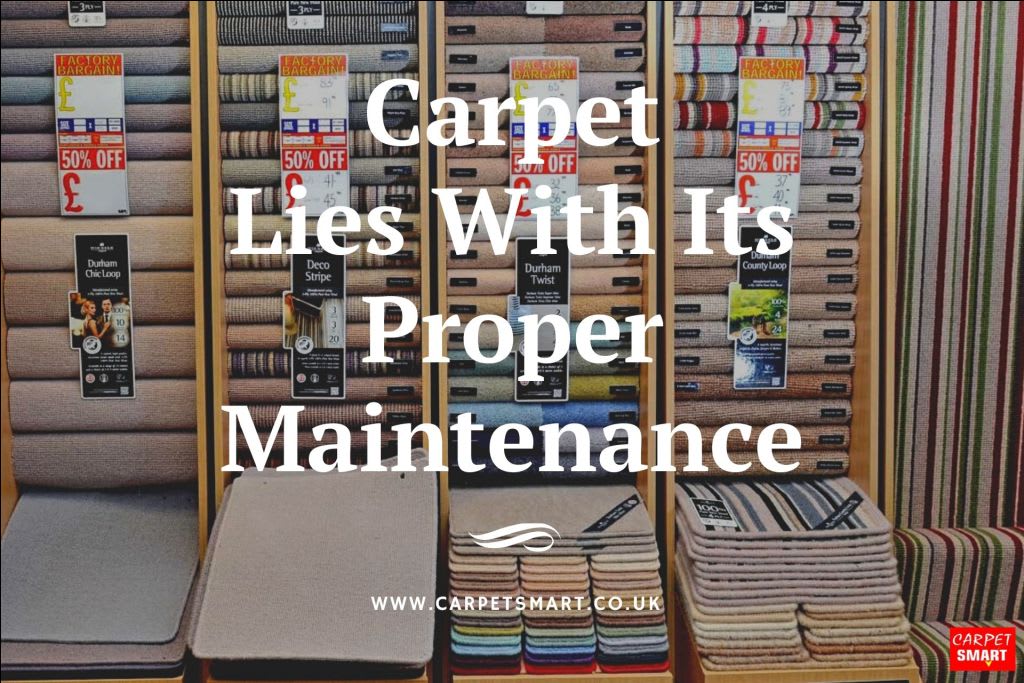Extended Life of a Carpet Lies With Its Proper Maintenance