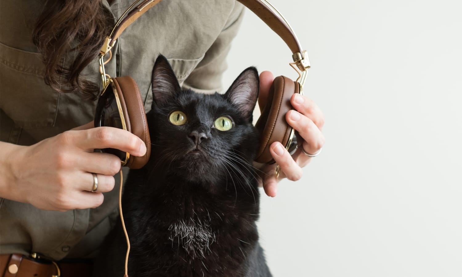 Why I make music for cats (and monkeys and dogs and horses)