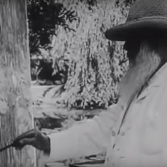 1915 Footage Shows Monet Painting His Famous Lilies