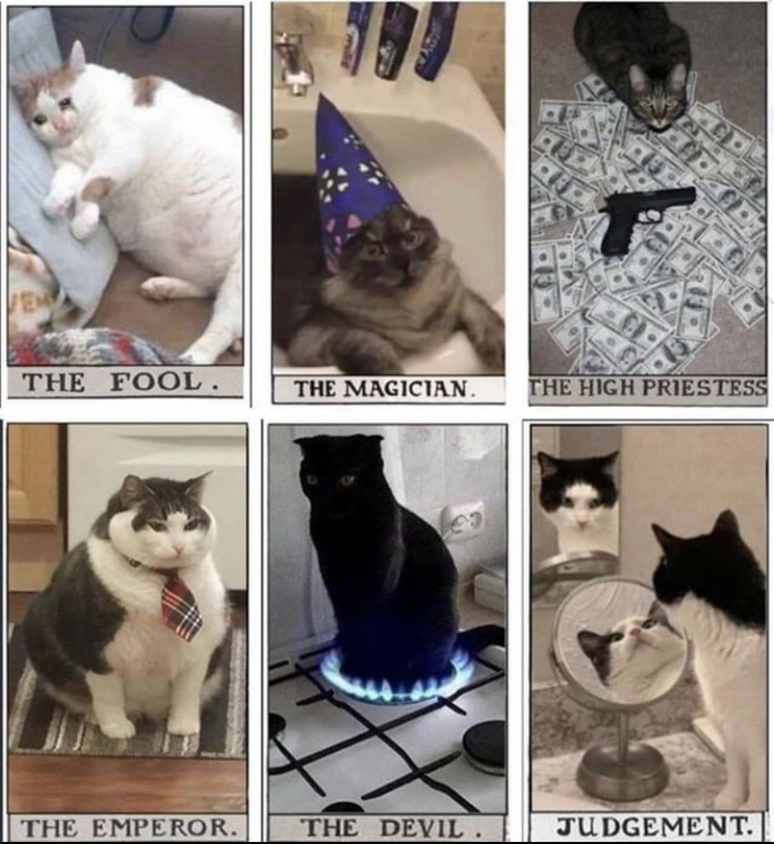 Tarot of Chonkers