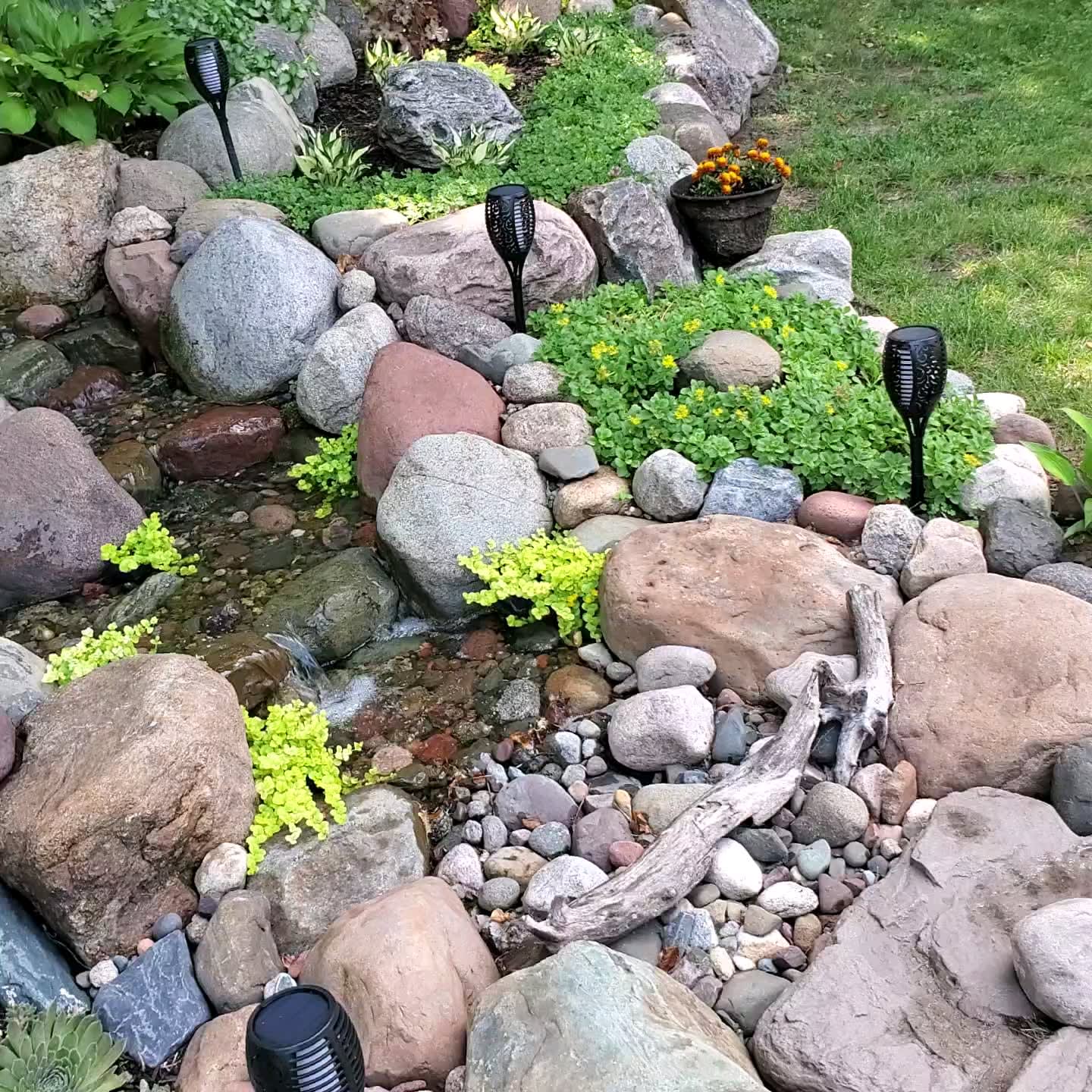 Our diy water feature/pondless waterfall garden is coming along nicely!