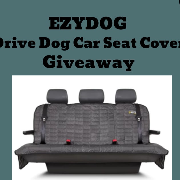 The EZYDOG Drive Dog Car Seat Cover Giveaway!
