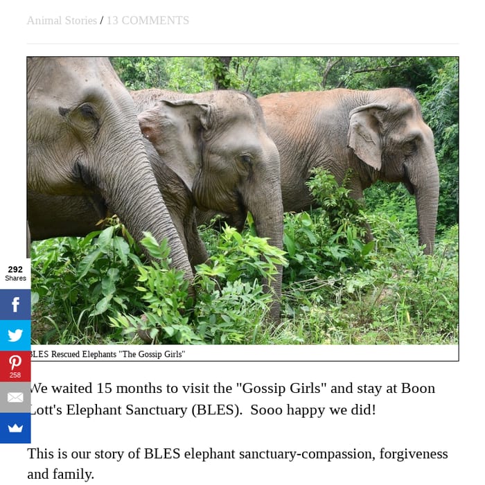 Boon Lotts Elephant Sanctuary (BLES)- Travel Bags and Bones Blog