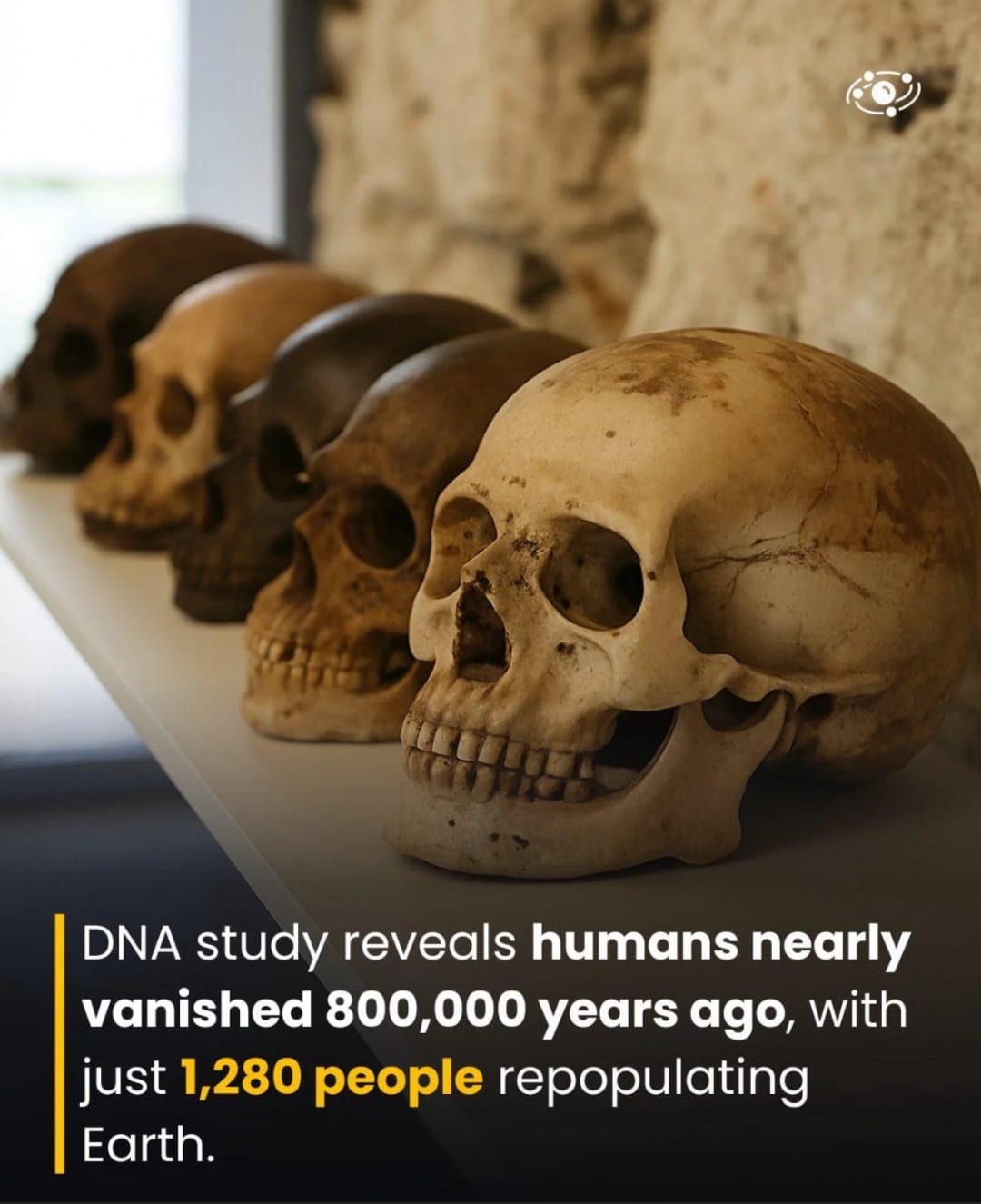 Only 1280 humans left once a time. Now we are 8,239,242,926+