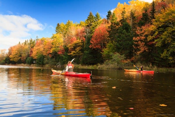 3 Reasons Why Kayaking the Fox River in Fall is the Absolute Best