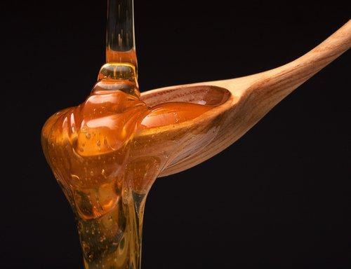 Scientists Discover Why Honey Is The Best Natural Antibiotic
