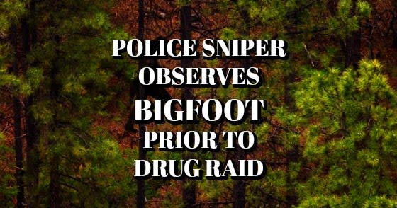 Police Sniper Observes Bigfoot Prior to Drug Raid