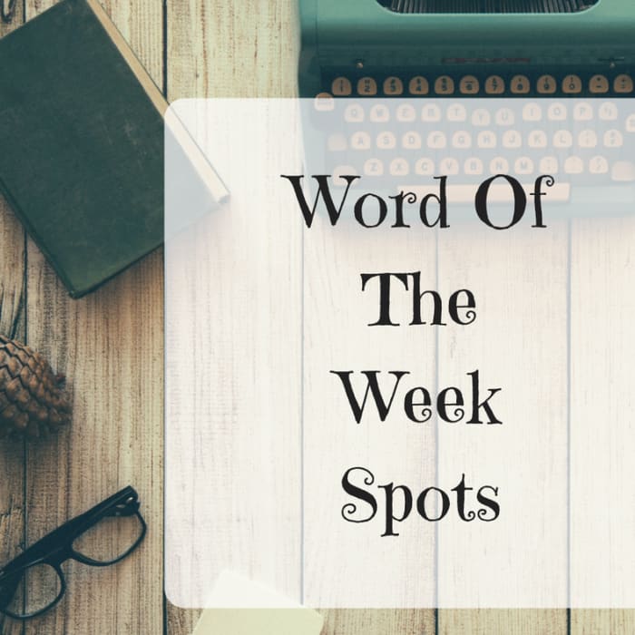 Word Of The Week - Spots - Adventures In Websterland