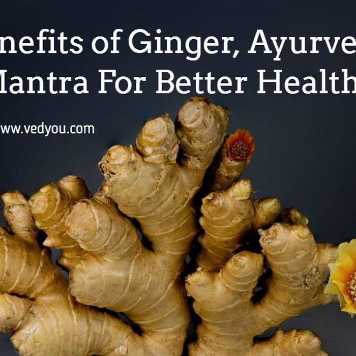 Benefits of Ginger, Medicinal Properties, Ayurved Mantra For Better Health