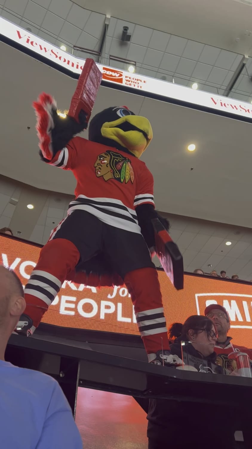 Pro-bird propagandist brainwashes crowd at professional Hockey game
