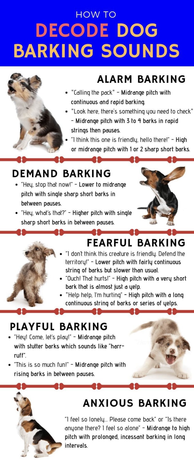 How to decode dog barking sounds