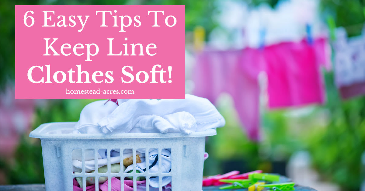 6 Tips For Keeping Line Dried Clothes Soft - Homestead Acres