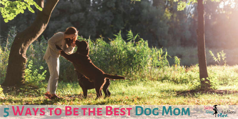 5 Ways to Be the Best Dog Mom