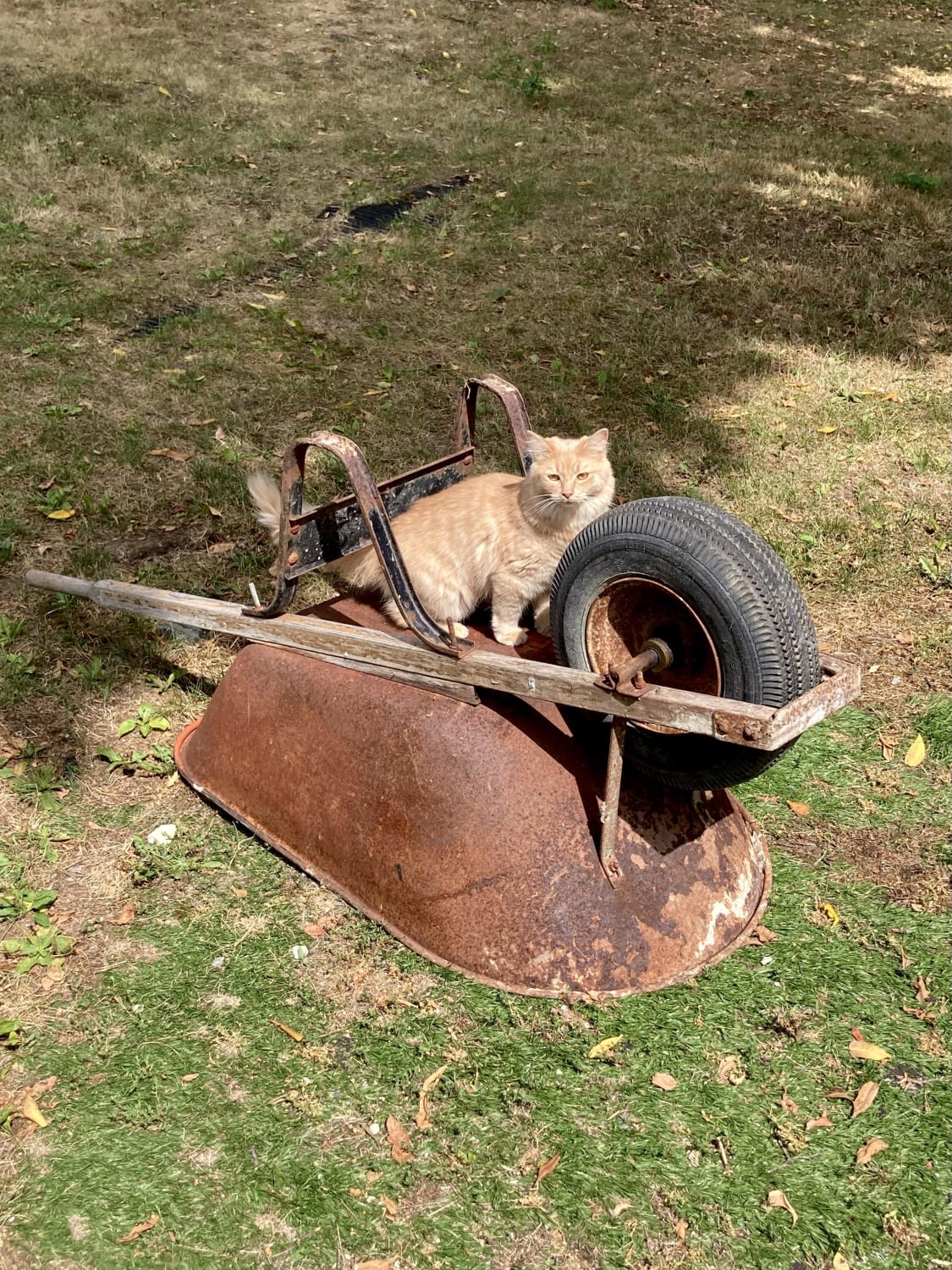 Getting into construction but can’t figure out the wheelbarrow
