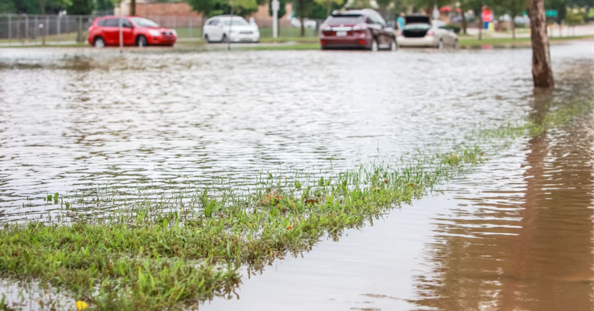 5 Scary Things You Can Catch from Floodwater After a Hurricane
