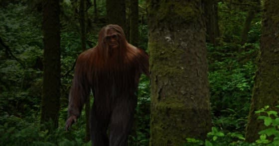 Arkansas Bigfoot Encounter Deeply Haunts Eyewitness