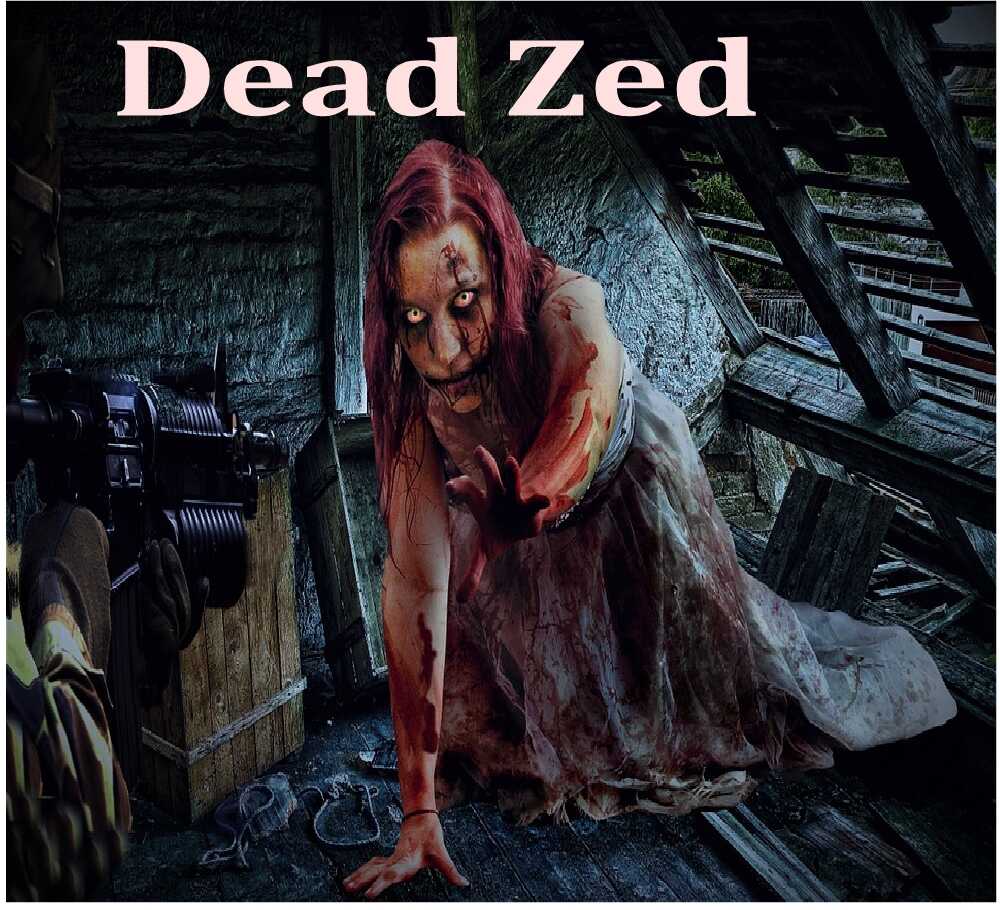 Amazing popular Flash Game Series - Dead Zed 3 Series