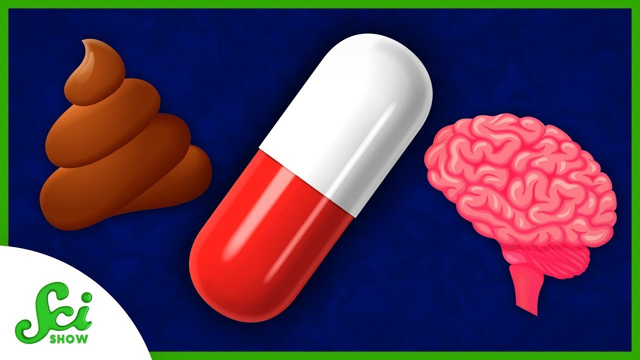 A Constipation Drug Could Improve Memory | SciShow News