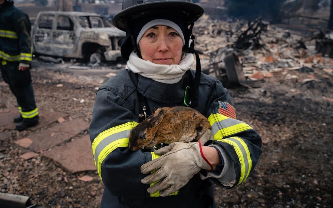 Firefighter holding a pet rabbit she rescued from the Colorado Marshall Fire, which burned over 1,000 homes in late December, 2021.