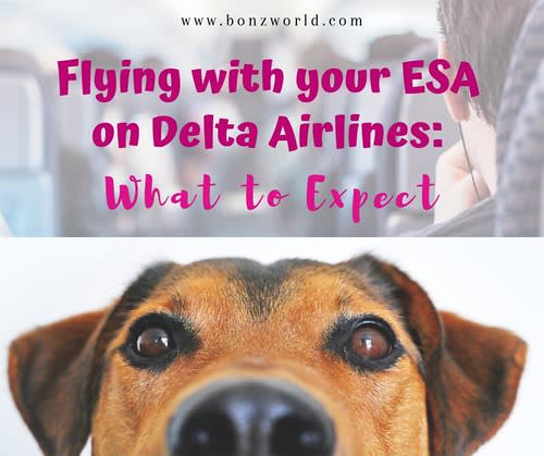 Flying with your ESA on Delta Airlines: What to Expect - Bonz World - This Is My World