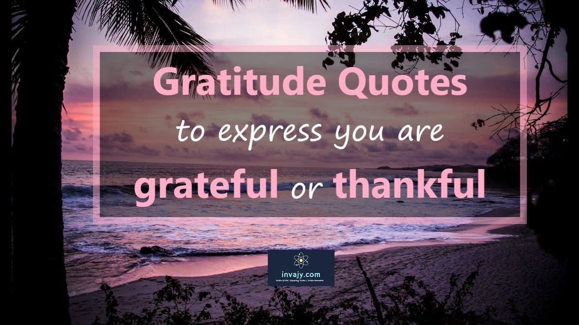 Gratitude Quotes to express you are grateful or thankful