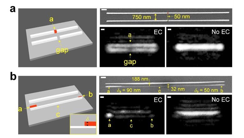 New discovery advances optical microscopy