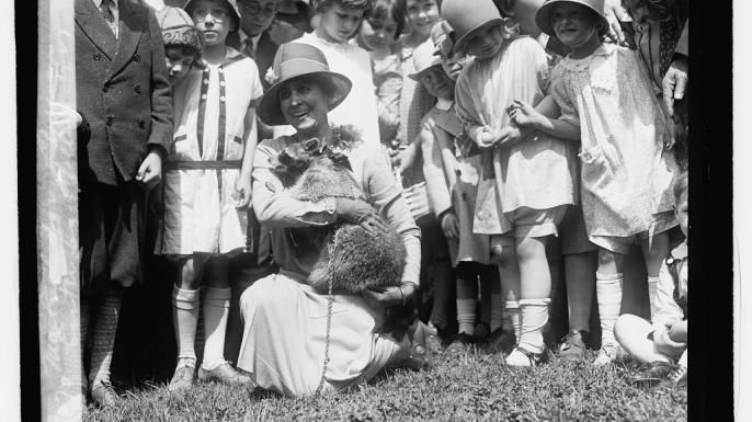The Thanksgiving Raccoon That Became a Presidential Pet