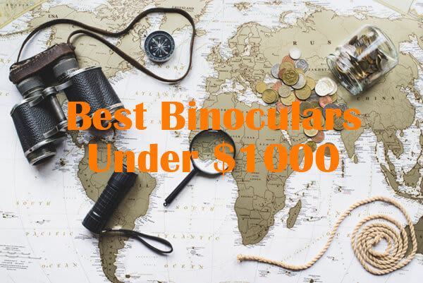 7 Best Binoculars Under $1000: High-Quality Binoculars for Outdoor Activities
