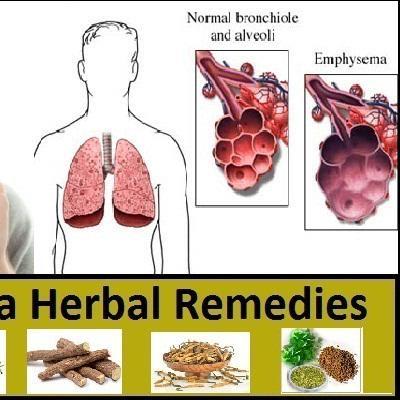 7 Emphysema Herbal Remedies and Hysmeton Herbal Supplements - Herbs Solutions By Nature