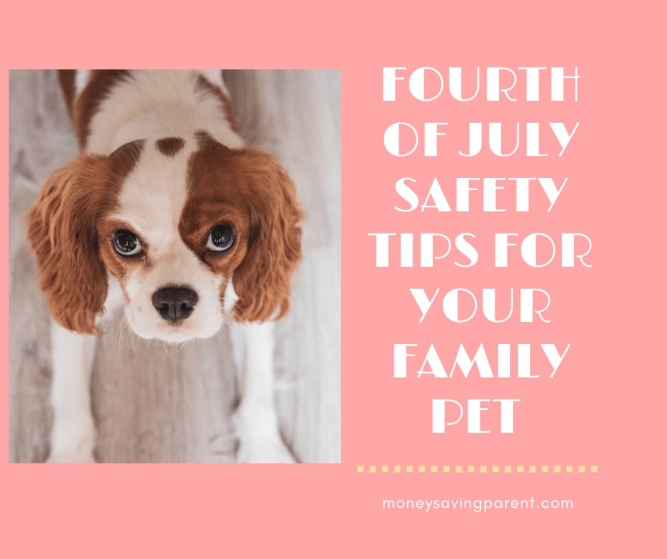 Fourth of July Safety Tips for Your Family Pet