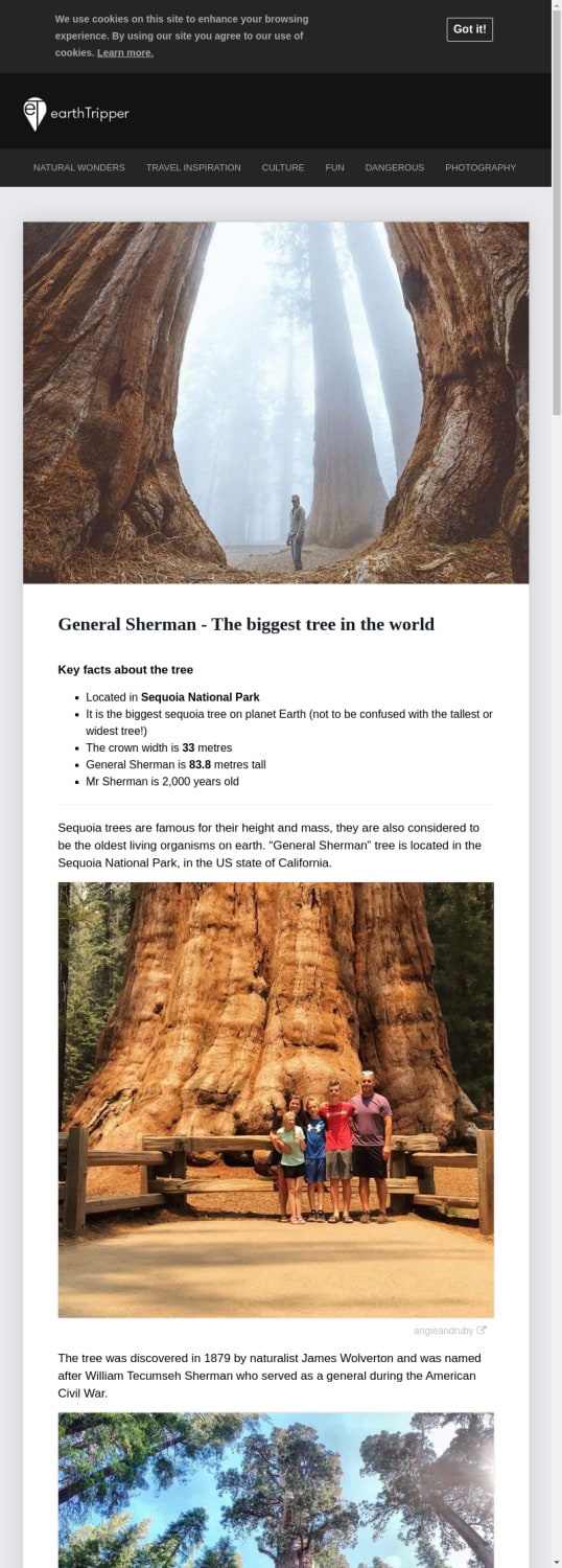 General Sherman - The biggest tree in the world