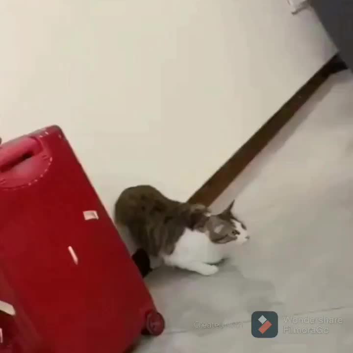 to attack