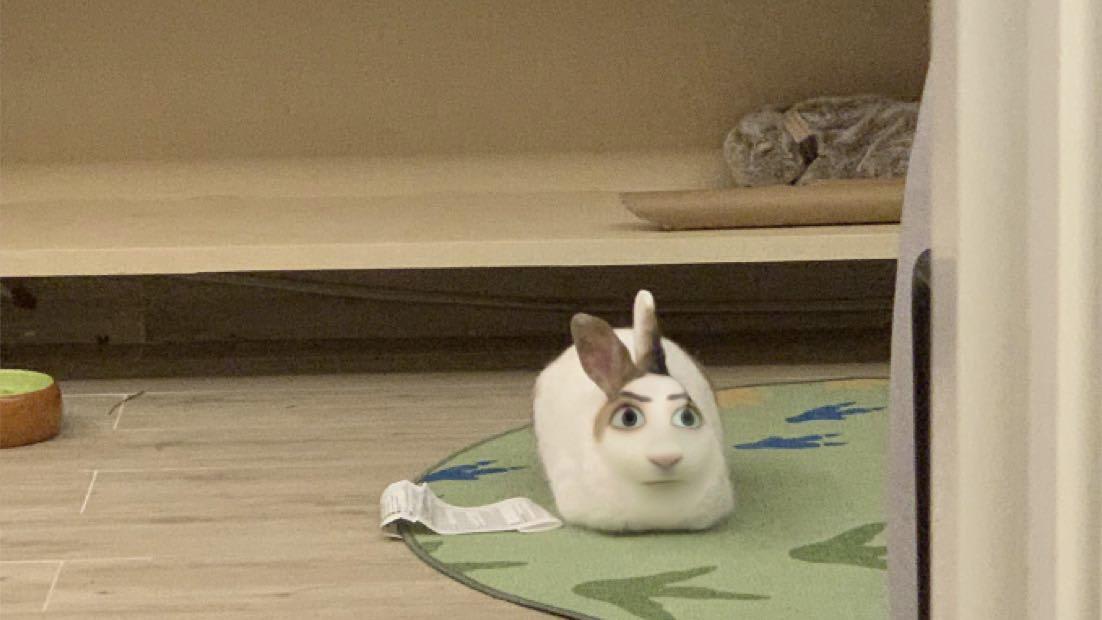 Snapchat filter picked up bunny's face