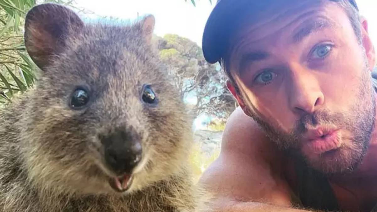 Experts Warn Taking Selfies With Animals Is Harming Them