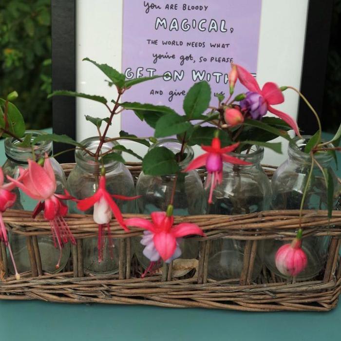 Five fuchsias with magical pals - In a Bottle on Monday - Views from my garden bench