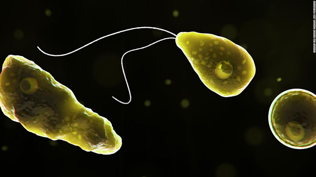 A rare case of brain-destroying amoeba has been confirmed in Florida