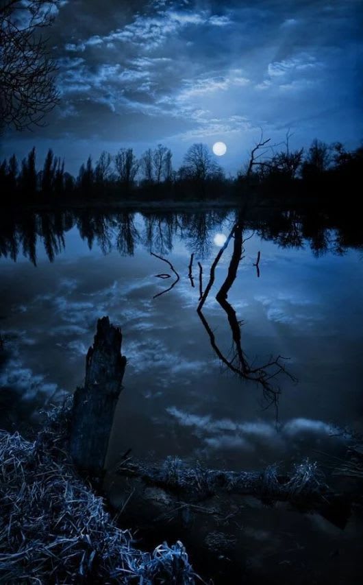 Pin by redactedxkivkjx on photographies | Beautiful moon, Beautiful nature, Photo dream