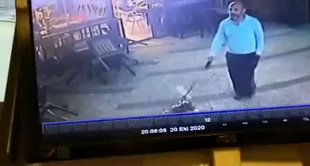 The dog owner somehow saw this situation coming with this Kung Fu cat