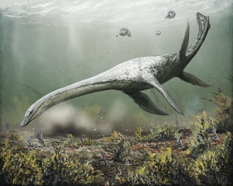 Scientists have been investigating the Loch Ness monster. This is what they've found