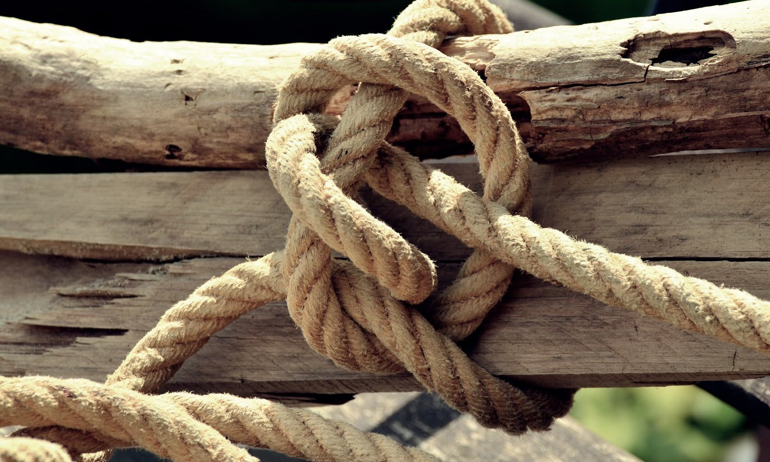 [VIDEO] Timber Hitch - How To a Tie Timber Hitch Knot Instructions + Uses