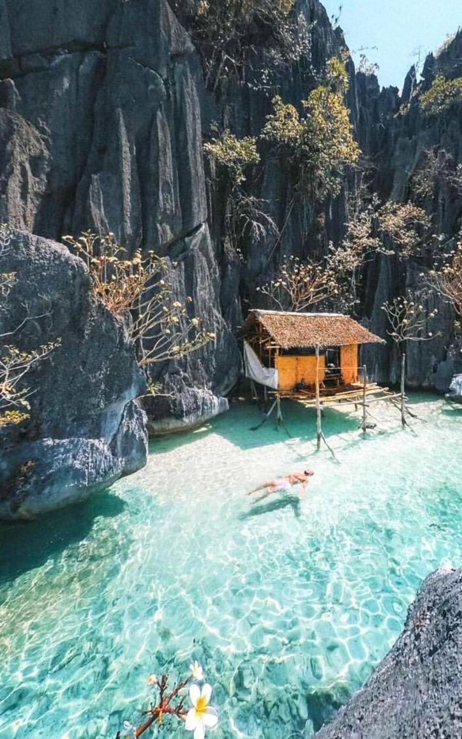 Palawan Island, known as the, Paragua, is the largest island in the, Palawan province, Philippines.