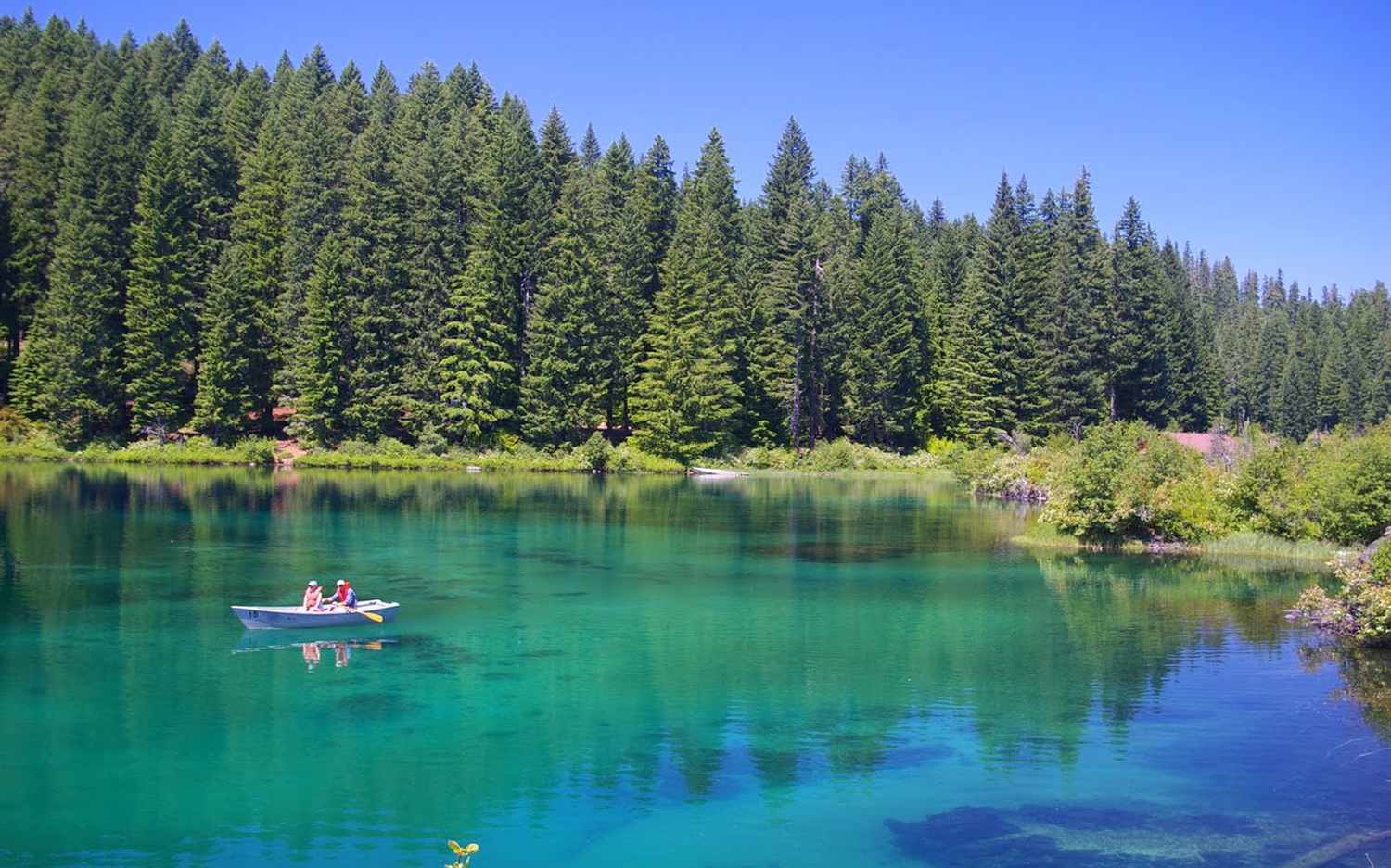 America's Most Beautiful Lake Has a Sunken Forest Beneath Its Crystal-clear Waters