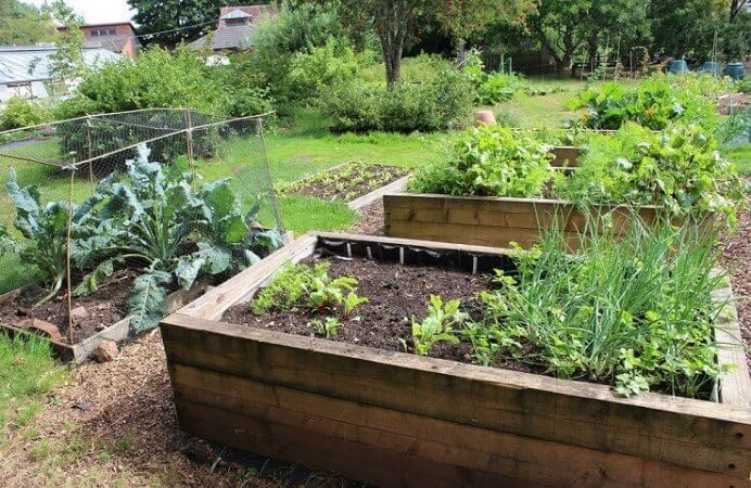 How To Build amazing Easy Raised Garden Bed?