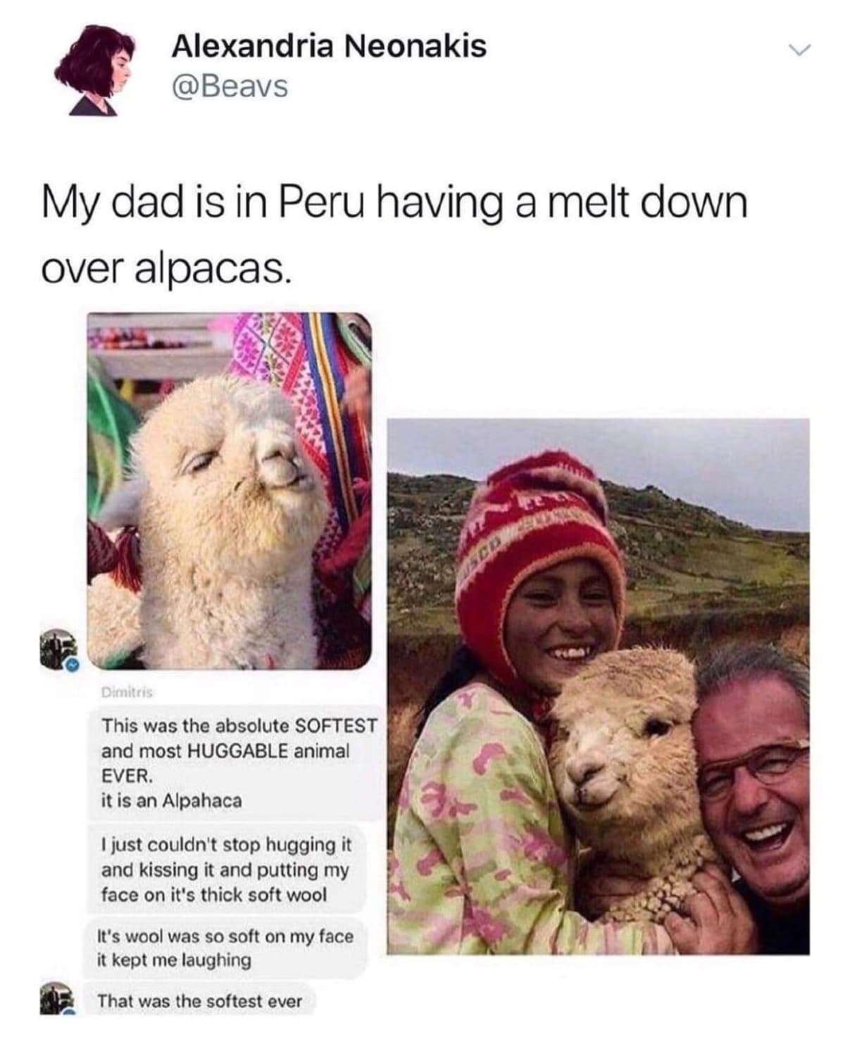 Oh alpacas