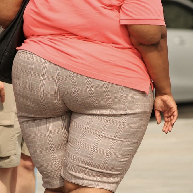 7 States Where People Are Just Too Fat