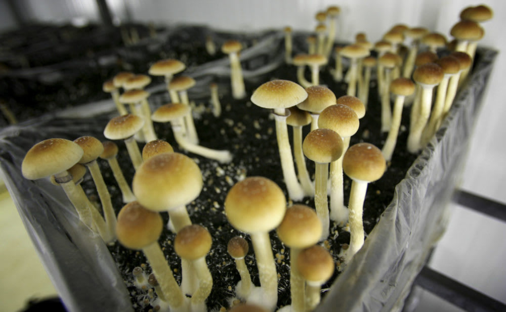 How Psychedelic Substances Can Help Treat Anxiety, Depression And Other Mental Illnesses