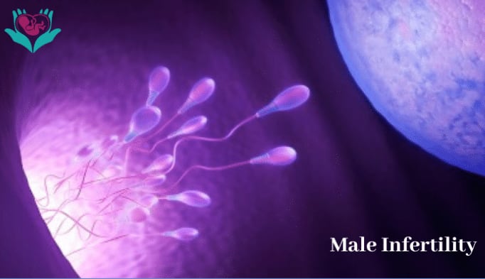 Male Infertility - Test - Causes & Symptoms