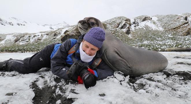 Please Watch This Very Good Video Of A Wildlife Photographer Trapped Under Curious Baby Elephant Seals