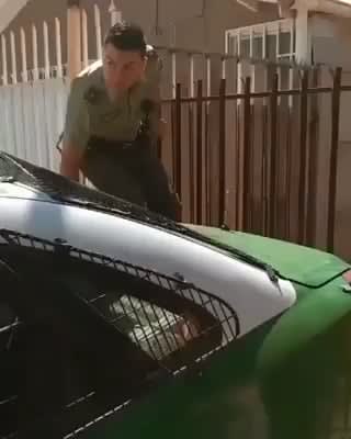 To protect and serve
